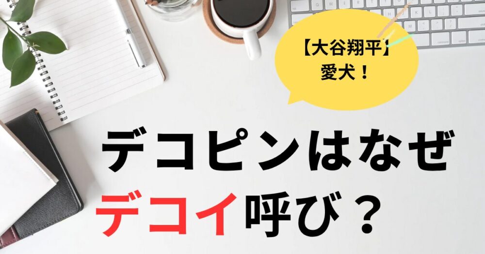 デコピンがデコイと呼ばれるのはなぜ？由来はダックデコイ